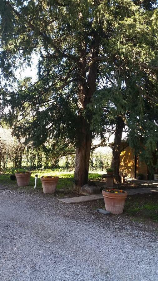 Al Cancello Bed and Breakfast Modena Buitenkant foto
